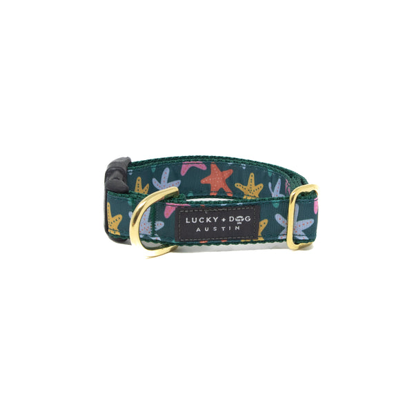 Activewear Collars - Tidepool Treasures