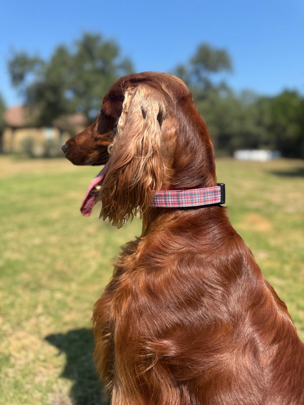 Fi Collar Band - Rosehip Check