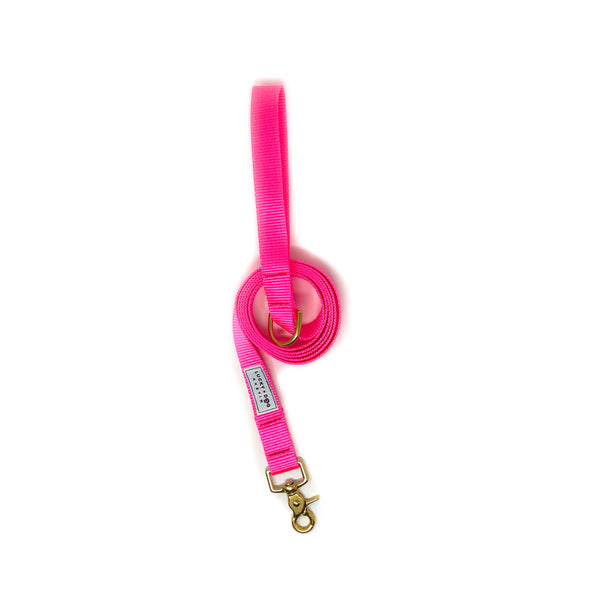 Everyday 6 ft Leash - Hot Pink