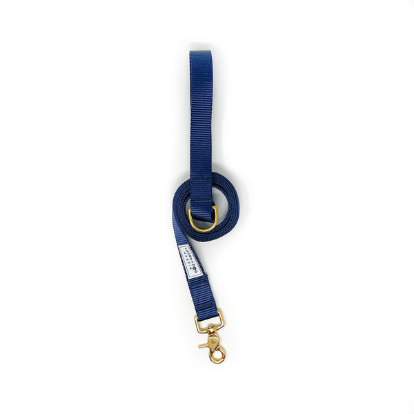Fi Collar Band - Navy Blue