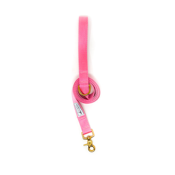 Everyday 6 ft Leash - Pink