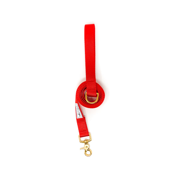 Everyday 6 ft Leash - Red