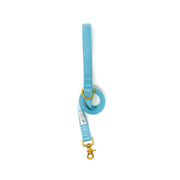 Everyday 6 ft Leash - Baby Blue