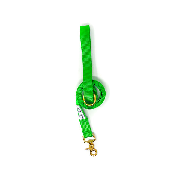 Everyday 6 ft Leash - Bright Green