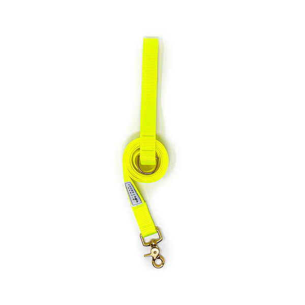 Fi Collar Band - Bright Yellow