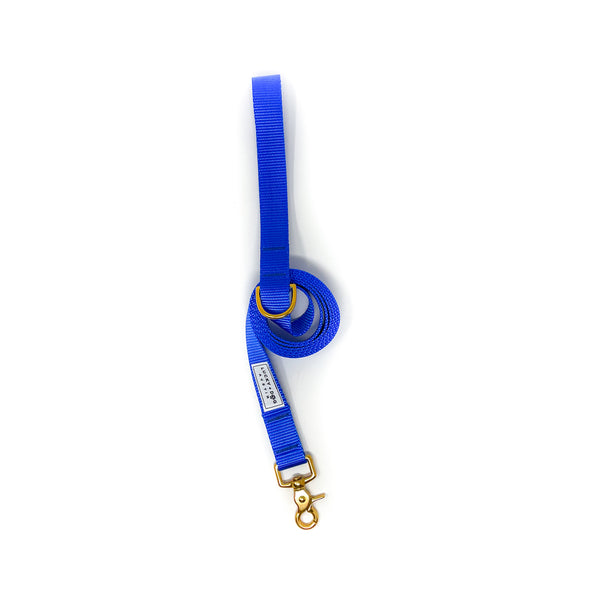 Fi Collar Band - Royal Blue