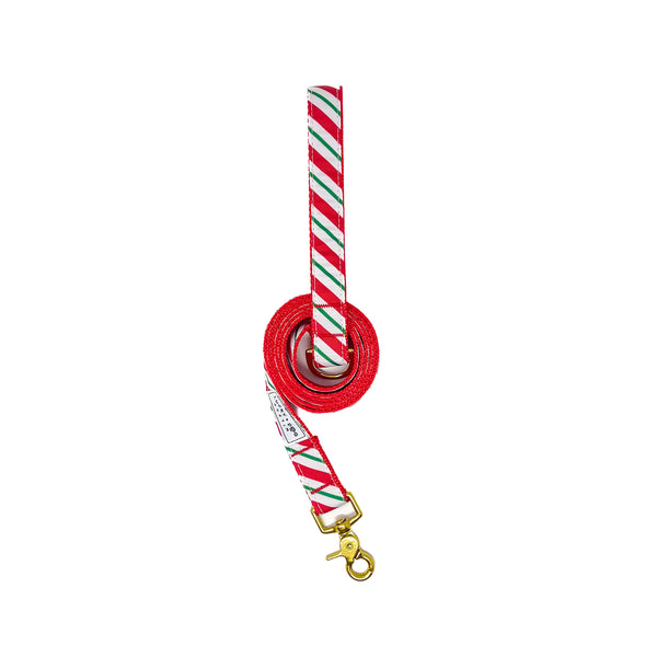 6 ft. Leash - Candy Cane Stripe