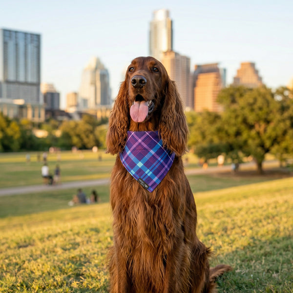 Purplaid Posh - Bandana