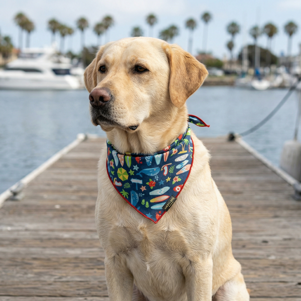 Surf's Up Pup - Bandana