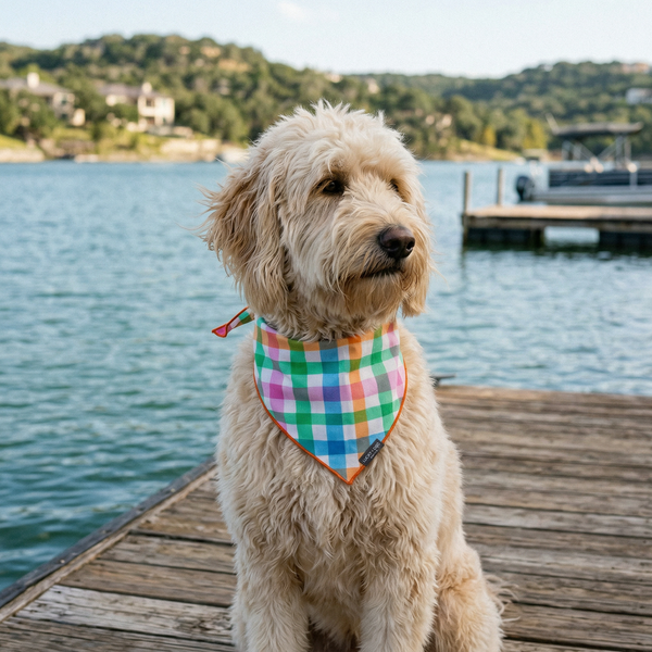 Color Me Lucky - Bandana