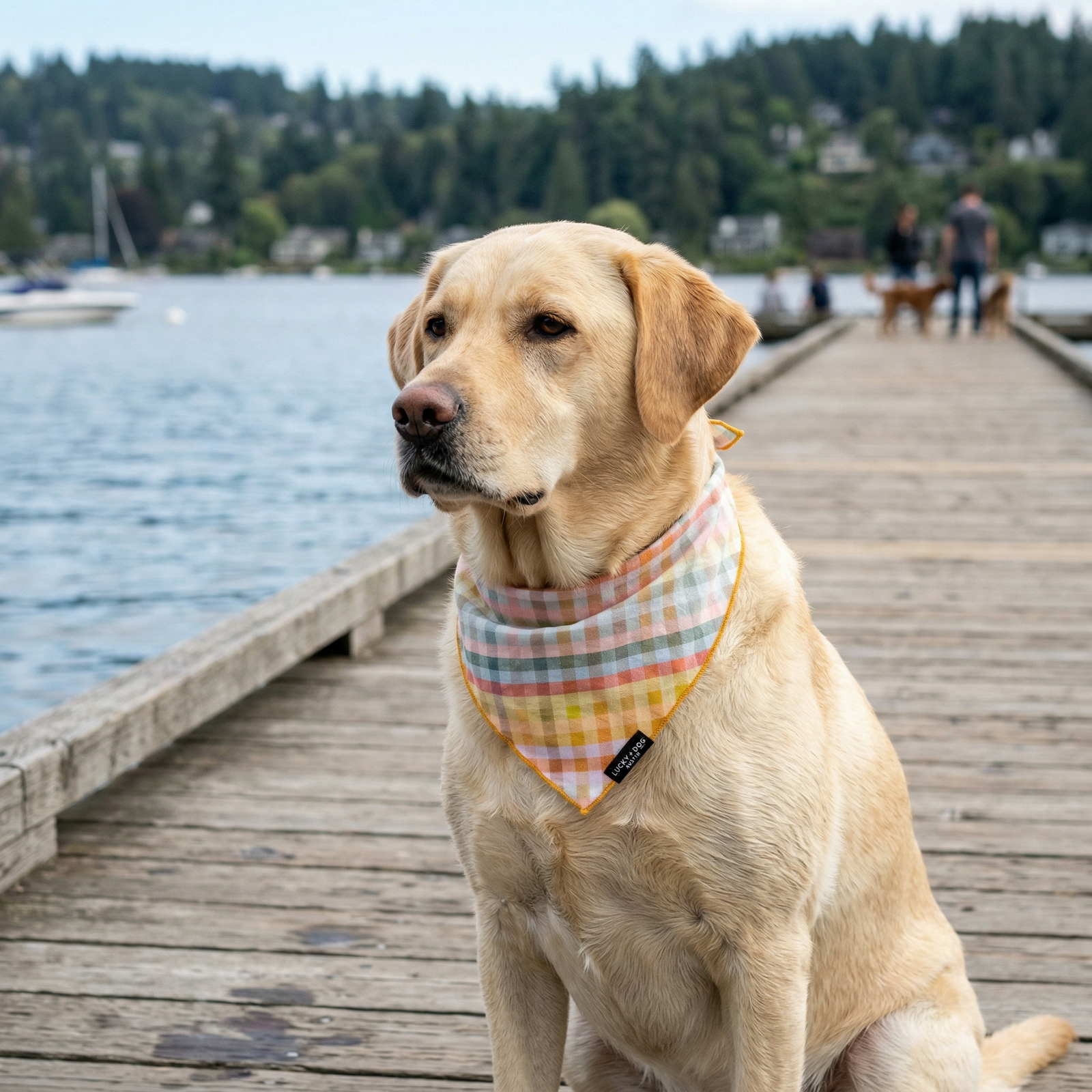 Yellow lab wearing a LUCKY+DOG pastel gingham bandana on a lakeside pier