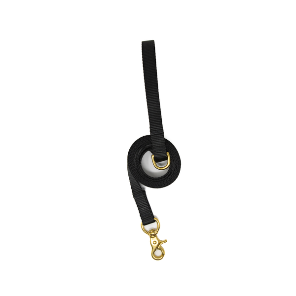 6 Ft Leash Small Dog - Black