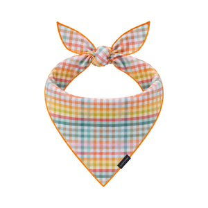 Brunch Buddy Bandana tied dog bandana