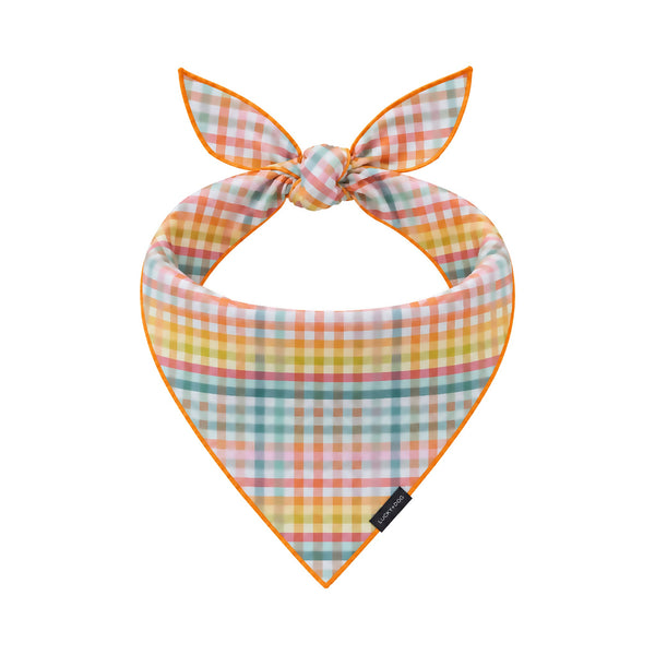 Brunch Buddy Bandana tied dog bandana