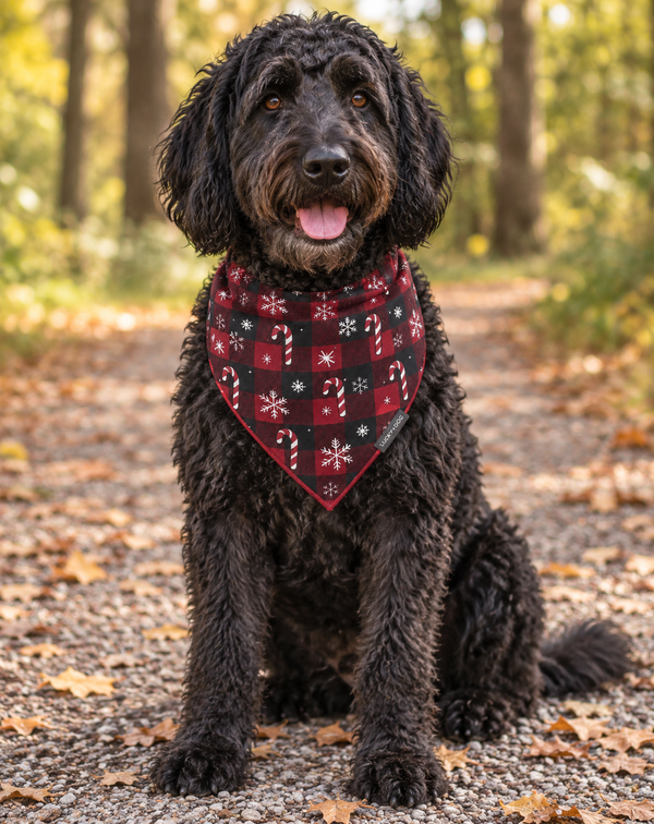 Peppermint Check - Bandana