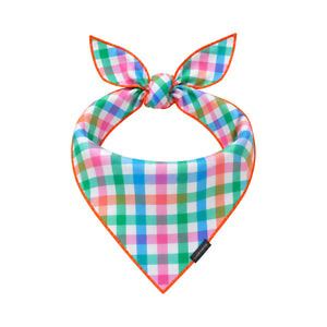 Color Me Lucky Bandana tied dog bandana