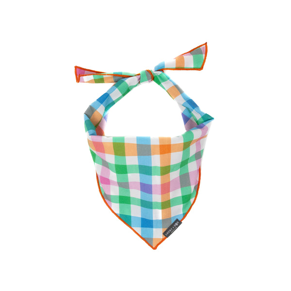 Color Me Lucky - Bandana