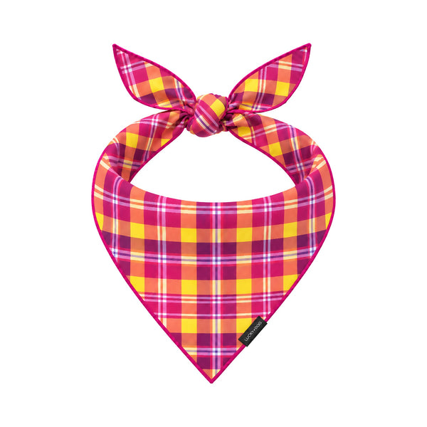 Firefly Nights Bandana tied dog bandana