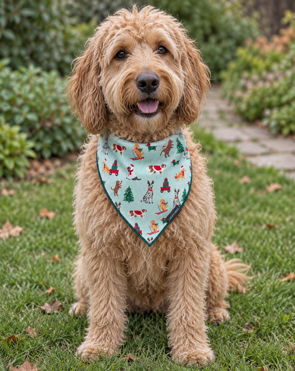 Christmas Companions- Bandana