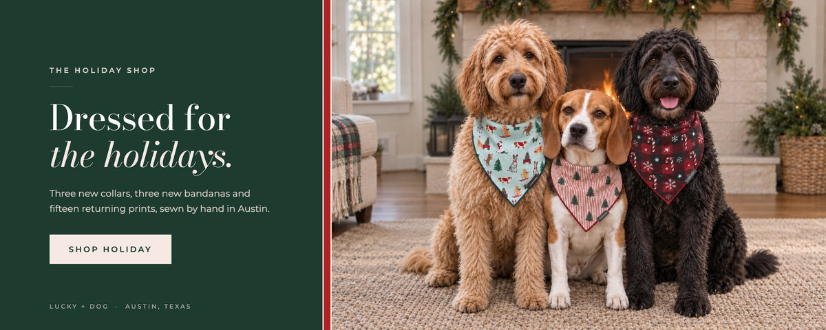 Three dogs in holiday bandanas by a fireplace. The Holiday Shop: three new collars, three new bandanas and fifteen returning prints, sewn by hand in Austin. Shop Holiday.