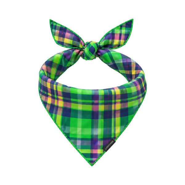 Lucky Limelight Bandana tied dog bandana