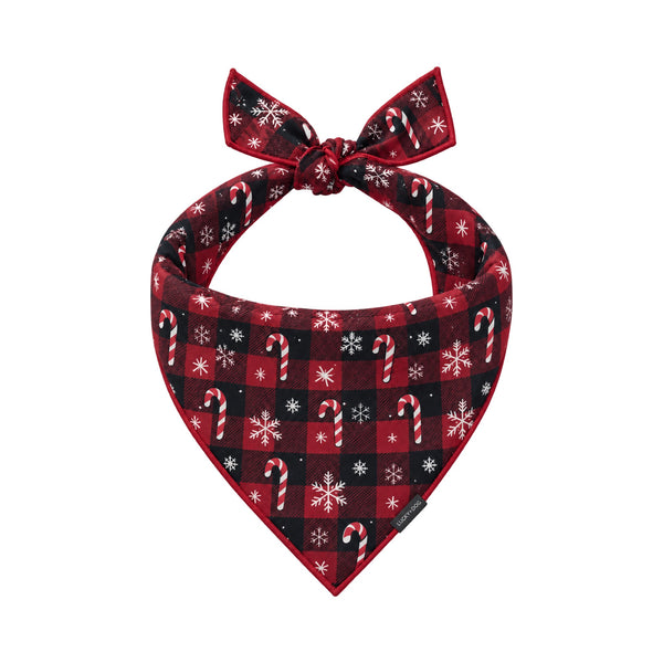 Peppermint Check - Bandana