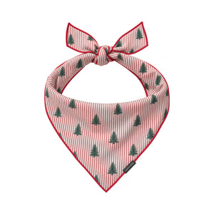 Striped Christmas Trees - Bandana