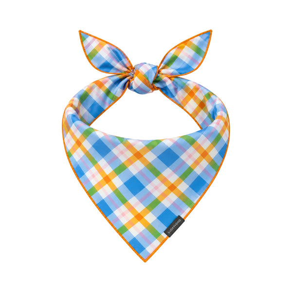 Sunny Side Pup Bandana tied dog bandana