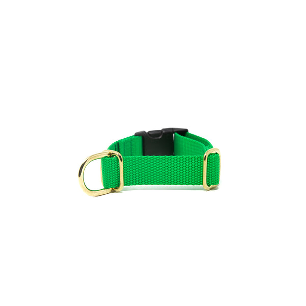Activewear Collar - Bright Green