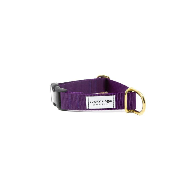 Activewear Collar - Purple