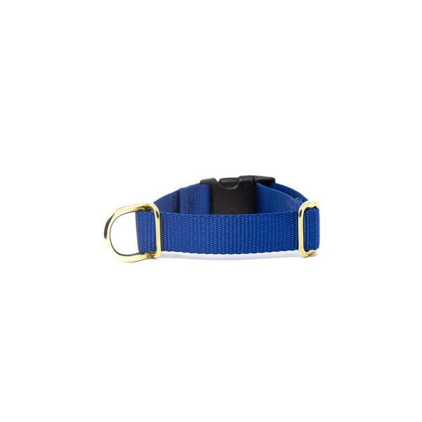 Activewear Collar - Royal Blue