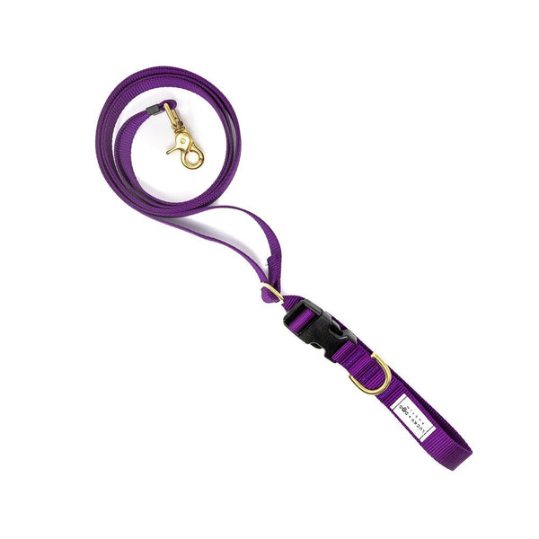 Purple - 8 ft. Hands Free Adjustable Leash