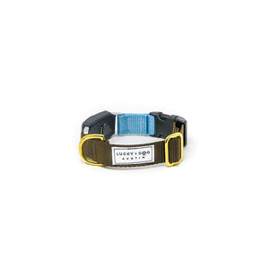 Fi Collar Band - Mix & Match  Fi Collar Band - Mix & Match