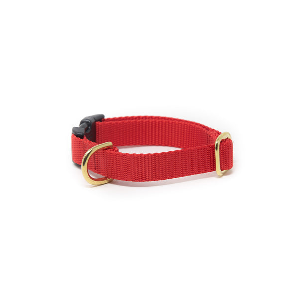 Small Dog Activewear Collar - Bright Red