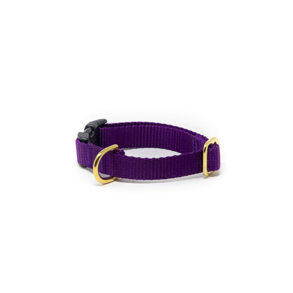 Small Dog Activewear  - Purple