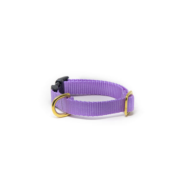 Small Dog Activewear - Lavender