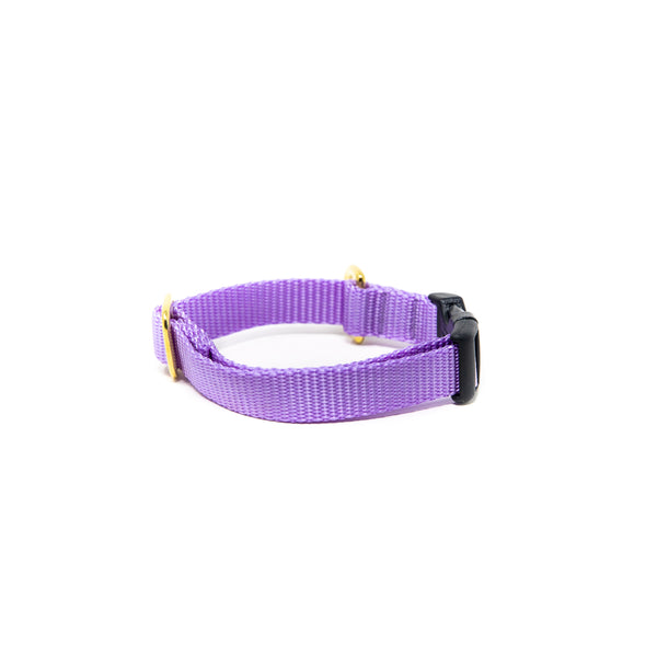 Small Dog Activewear - Lavender