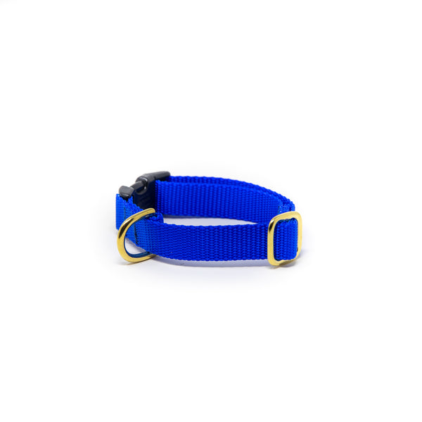Small Dog Activewear - Royal Blue