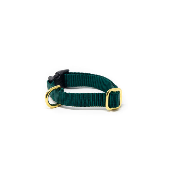 Small Dog Activewear  - Forest Green