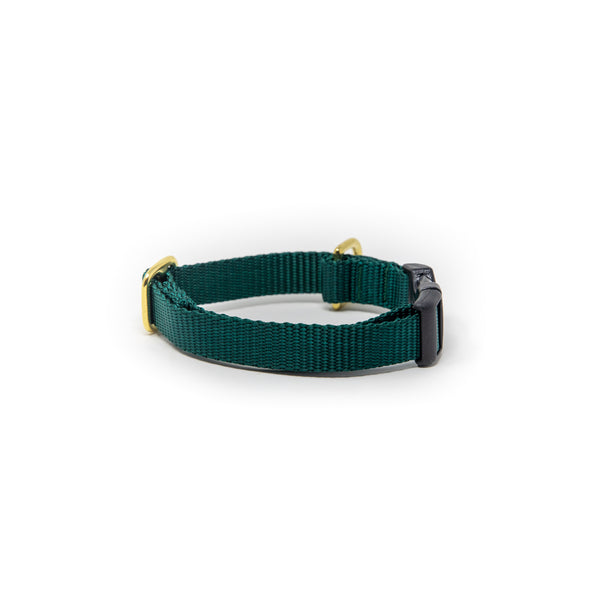Small Dog Activewear  - Forest Green