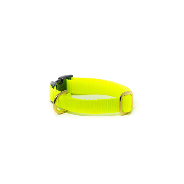 Small Dog Activewear - Bright Yellow