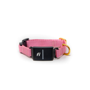 Small Dog Activewear Fi - Pink  Small Dog Activewear Fi - Pink