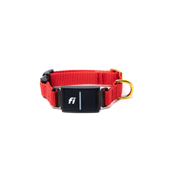 Small Dog Activewear Fi Collar - Bright Red