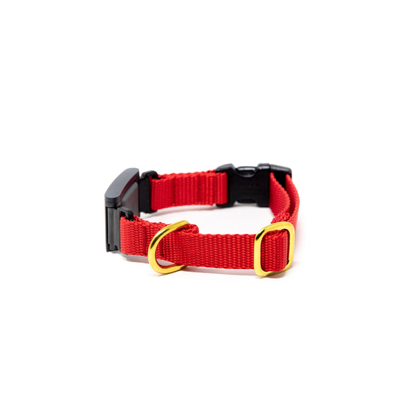 Small Dog Activewear Fi Collar - Bright Red