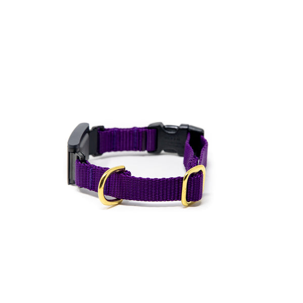 Small Dog Activewear Fi Collar - Purple