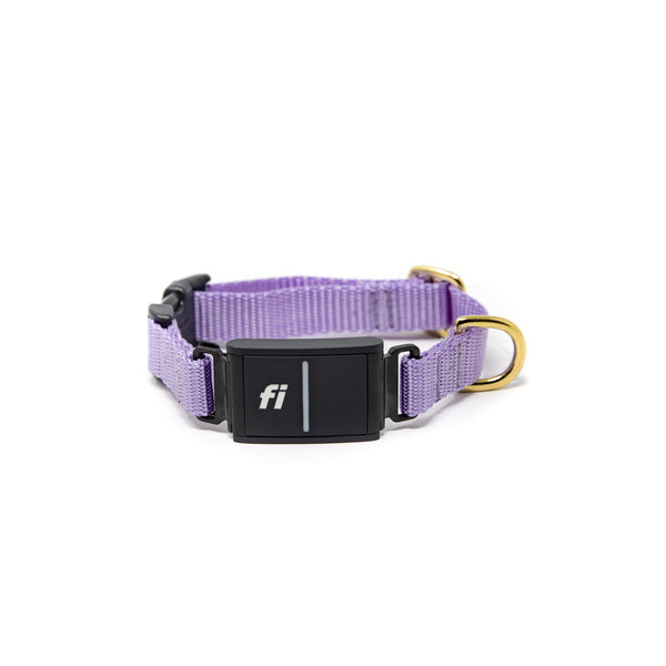 Small Dog Activewear Fi - Lavender