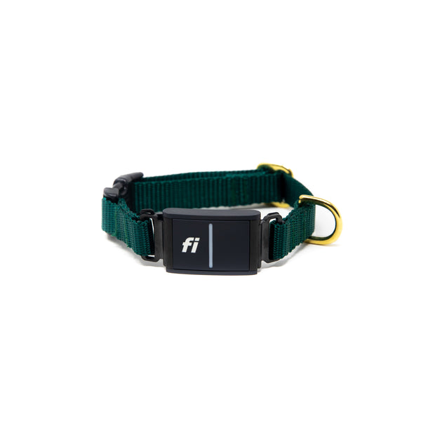 Small Dog Activewear Fi - Forest Green
