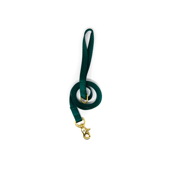 6 Ft Leash Small Dog - Forest Green