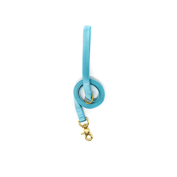 6 Ft Leash Small Dog - Baby Blue
