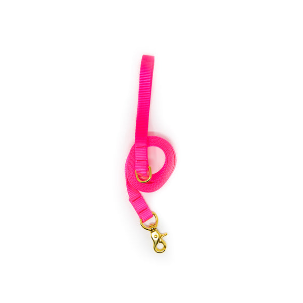 6 Ft Leash Small Dog - Hot Pink